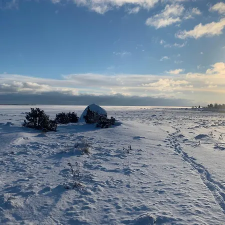 Romantiline Talu Lahe Aeaeres