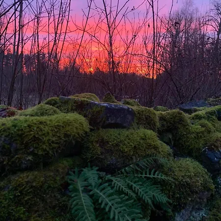 Romantiline Talu Lahe Aeaeres