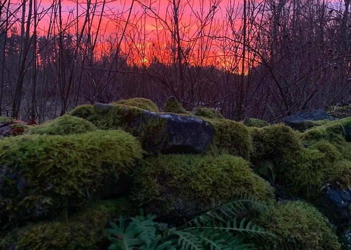 Romantiline Talu Lahe Aeaeres